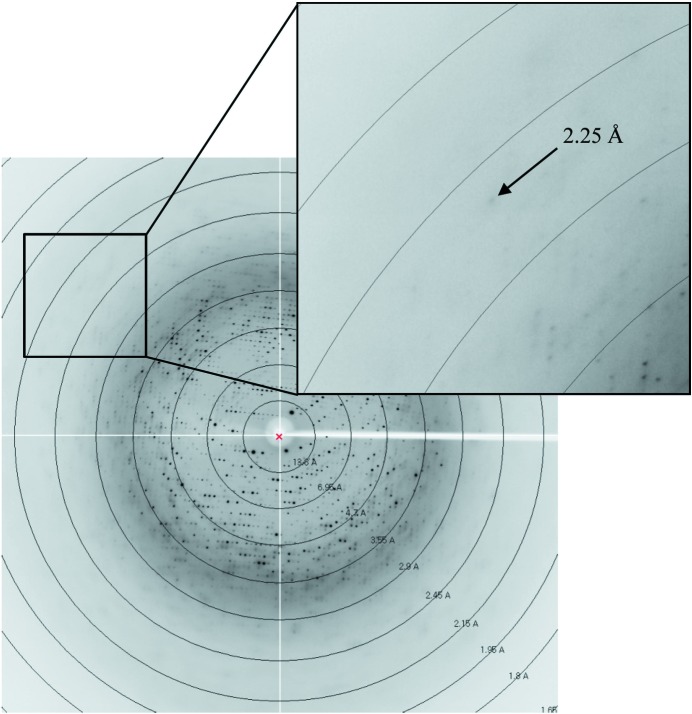 Figure 4