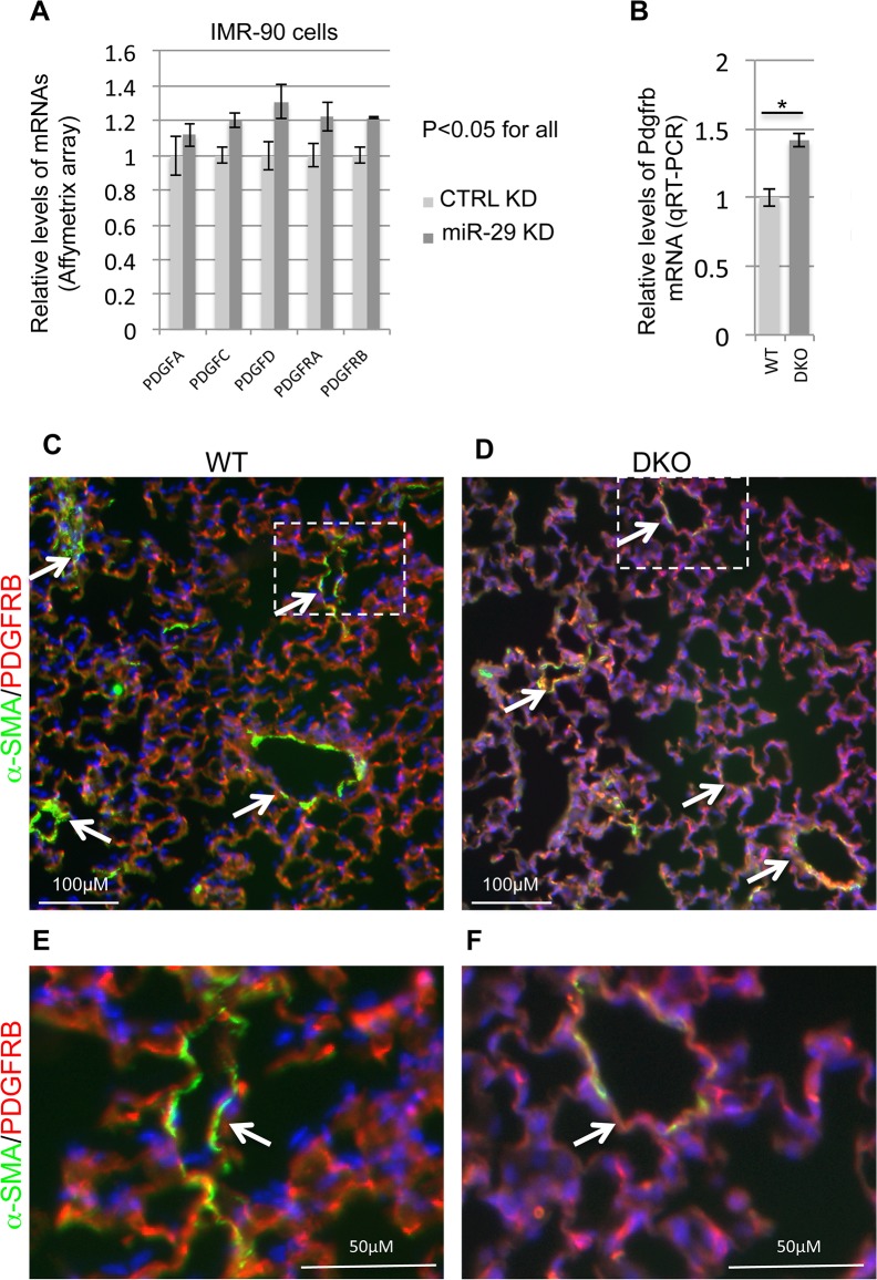 Fig 9