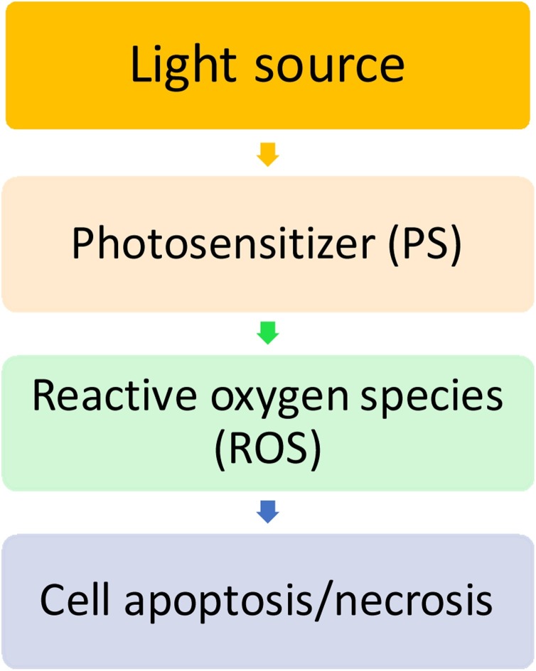 Fig. 1