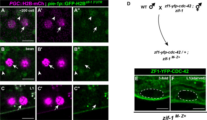 Figure 2.