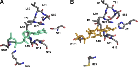 FIGURE 4.