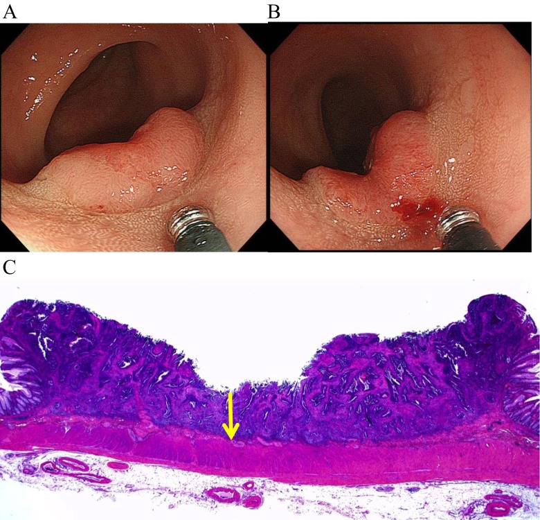 Fig. 6