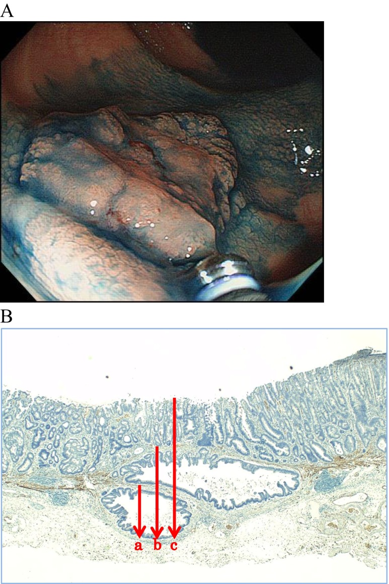 Fig. 5