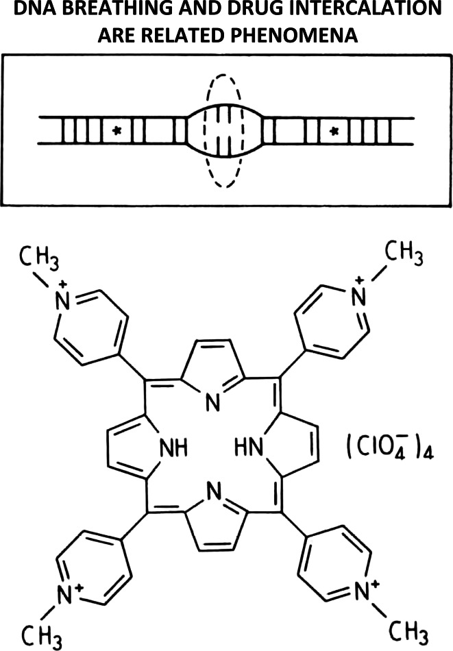 Fig. 12