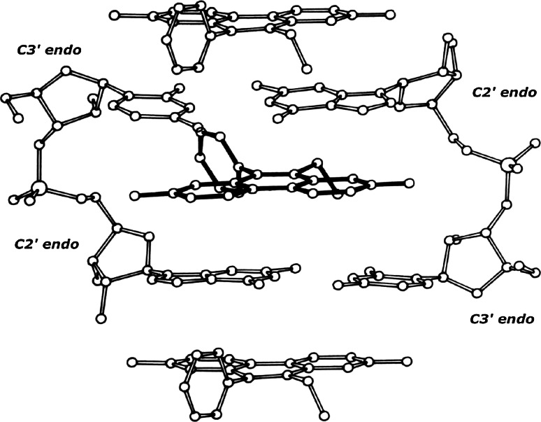 Fig. 2