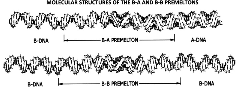 Fig. 8