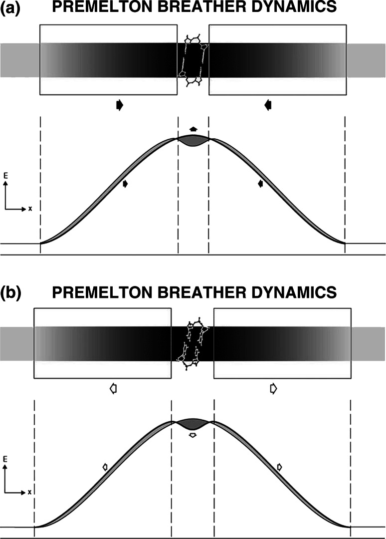 Fig. 9