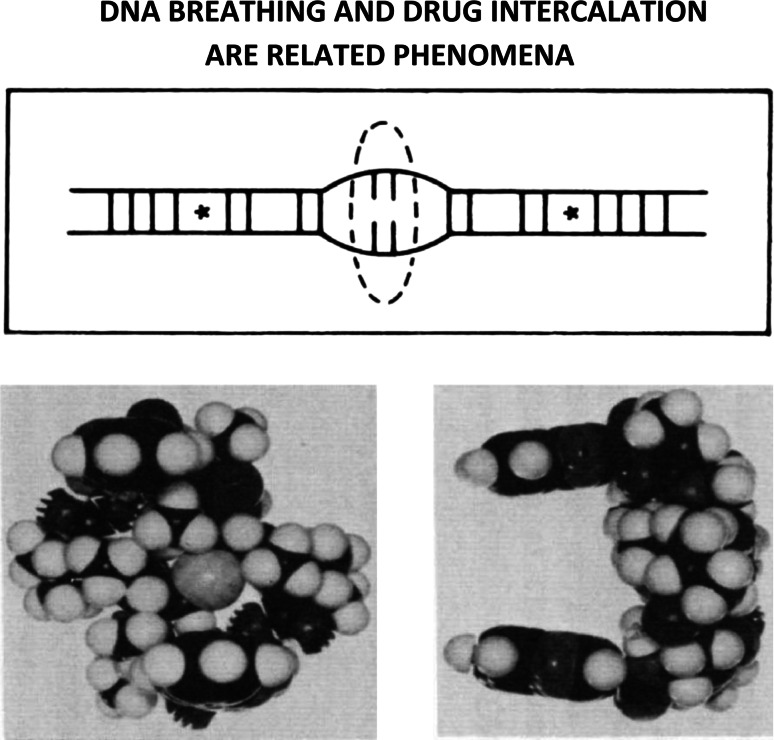 Fig. 11