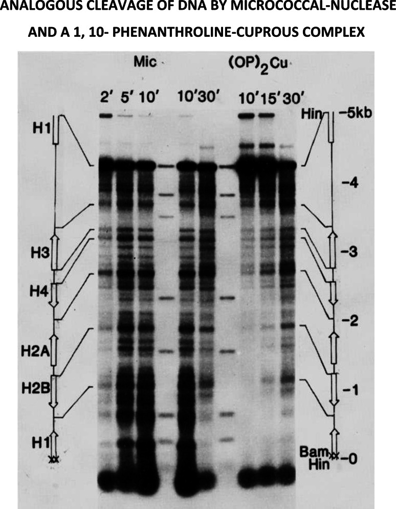 Fig. 14