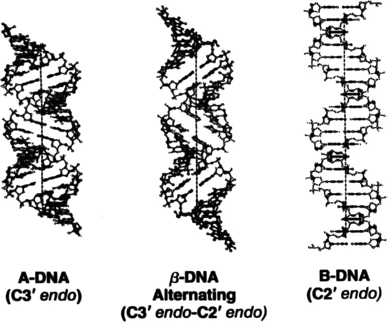 Fig. 6