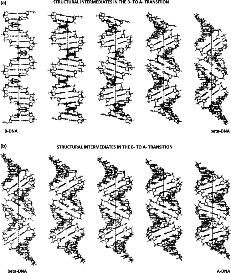 Fig. 7