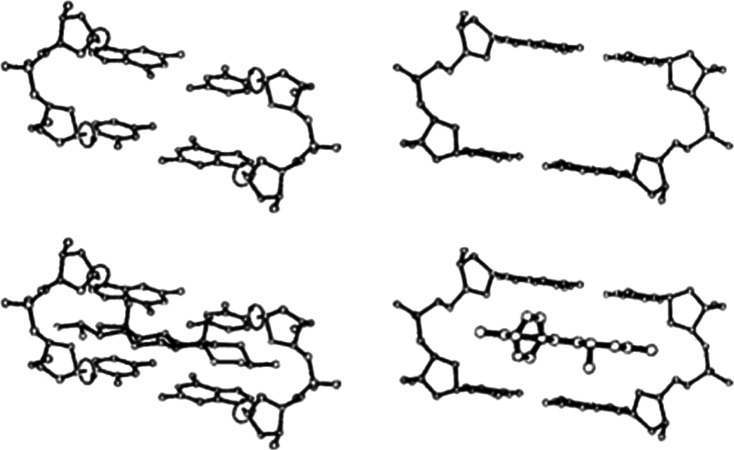 Fig. 10