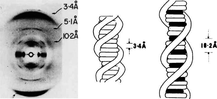 Fig. 4