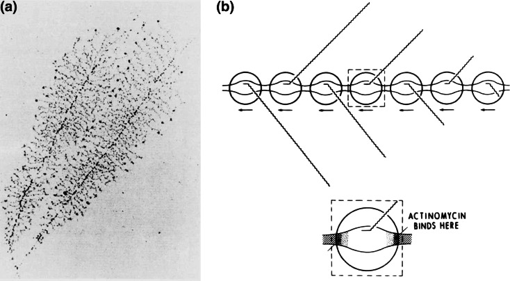 Fig. 17