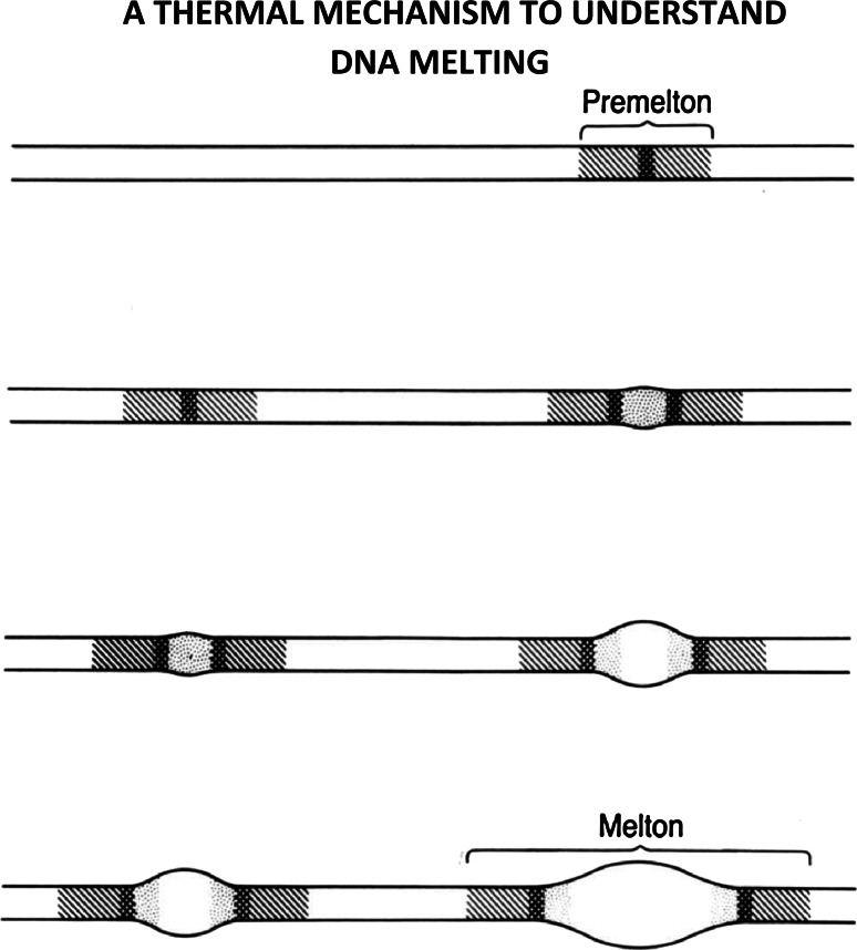 Fig. 13