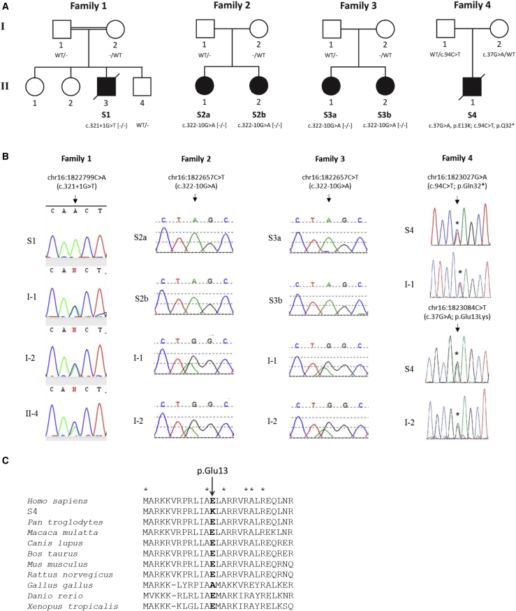 Figure 1