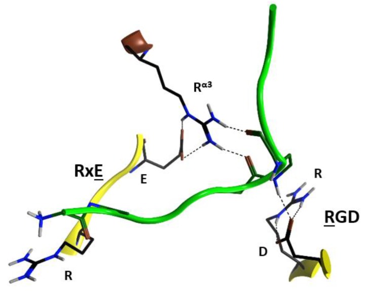 Figure 8