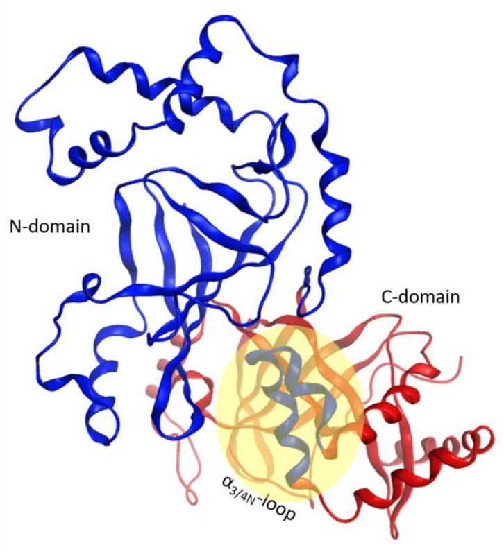 Figure 17