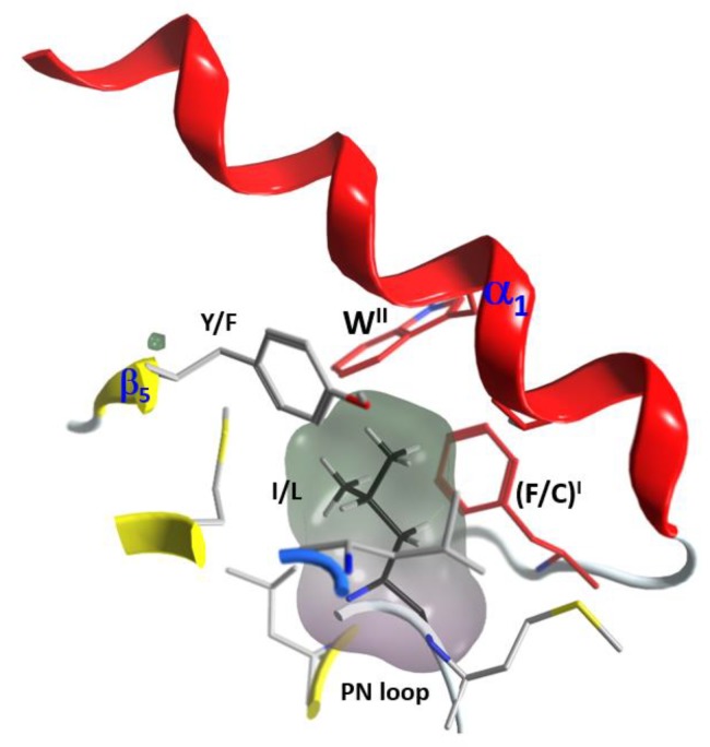 Figure 13