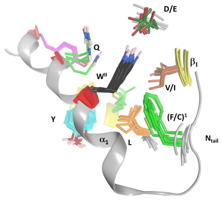 Figure 12