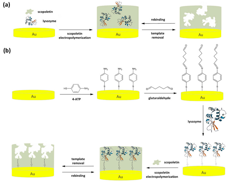 Scheme 1