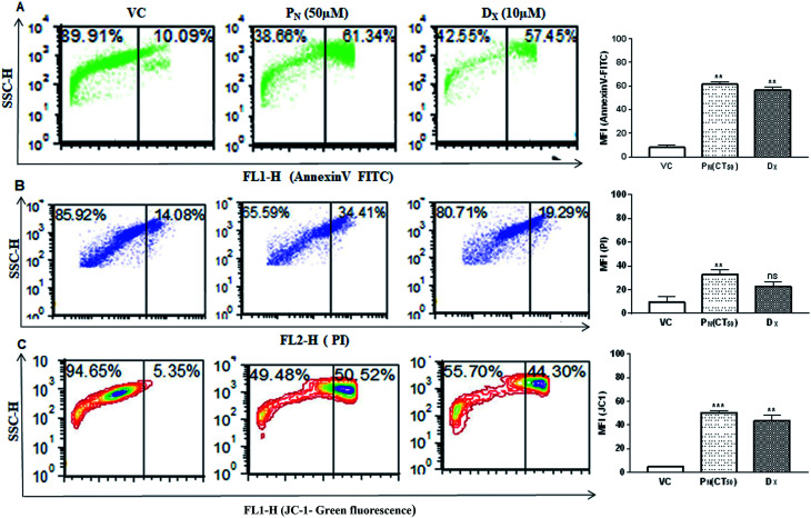 Fig. 6