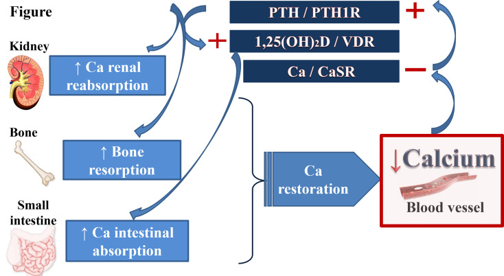 Figure 1