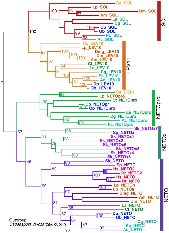 Fig. 3.