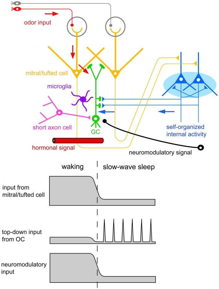 Figure 11