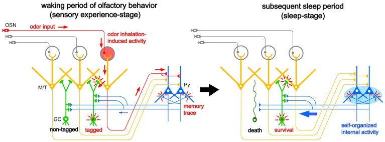 Figure 7