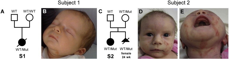 Figure 1