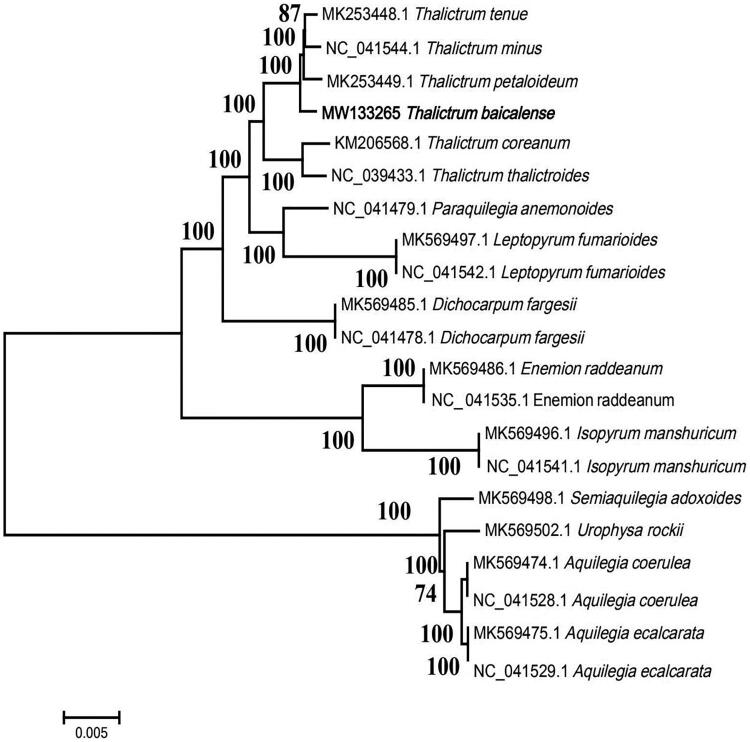 Figure 1.