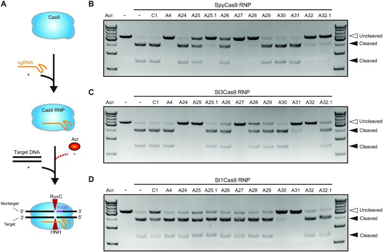 Figure 3.