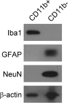 Figure 9
