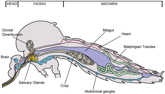 Figure 1.