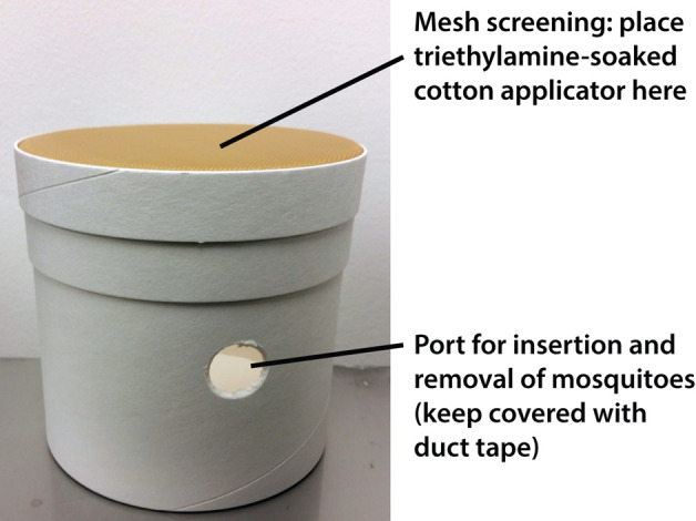 Figure 2.