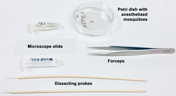 Figure 3.