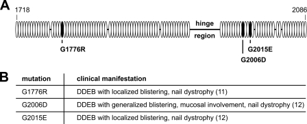 FIGURE 1.