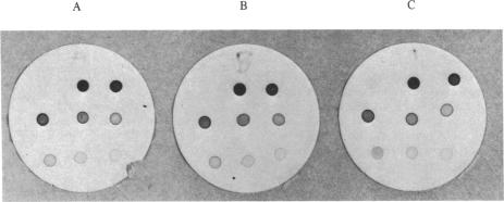 graphic file with name pnas00612-0214-a.jpg