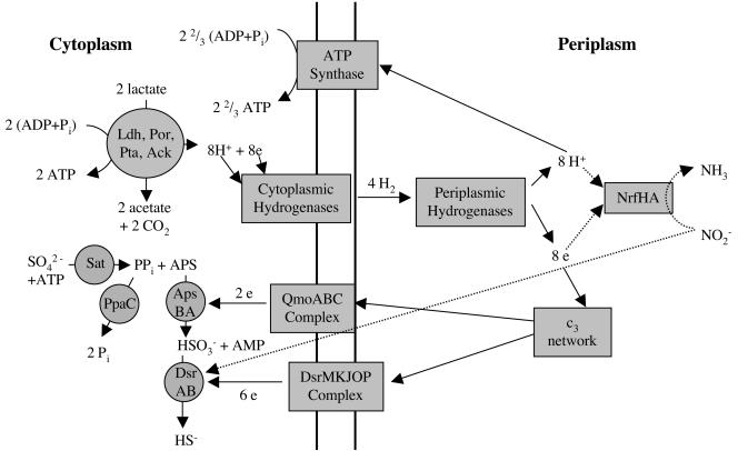 FIG. 5.