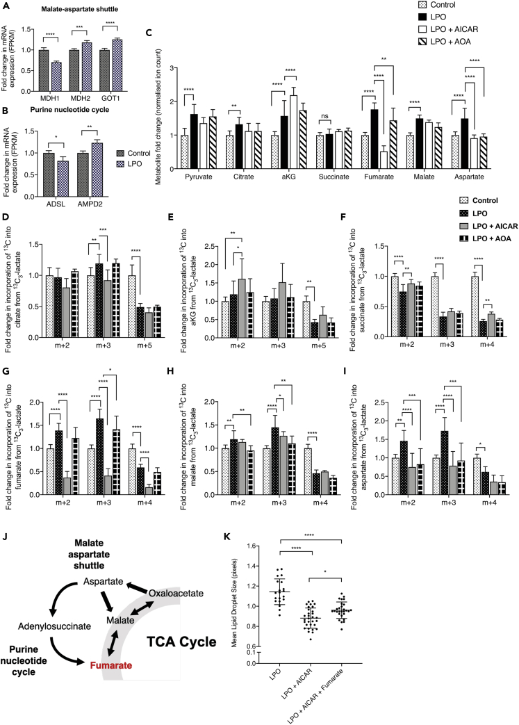 Figure 6