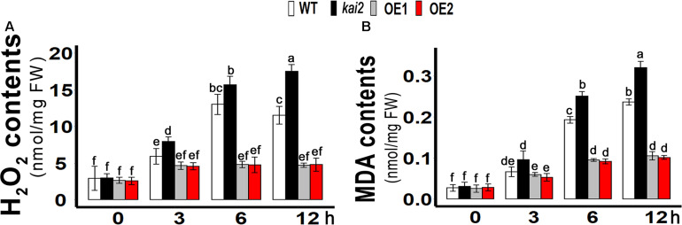 FIGURE 4