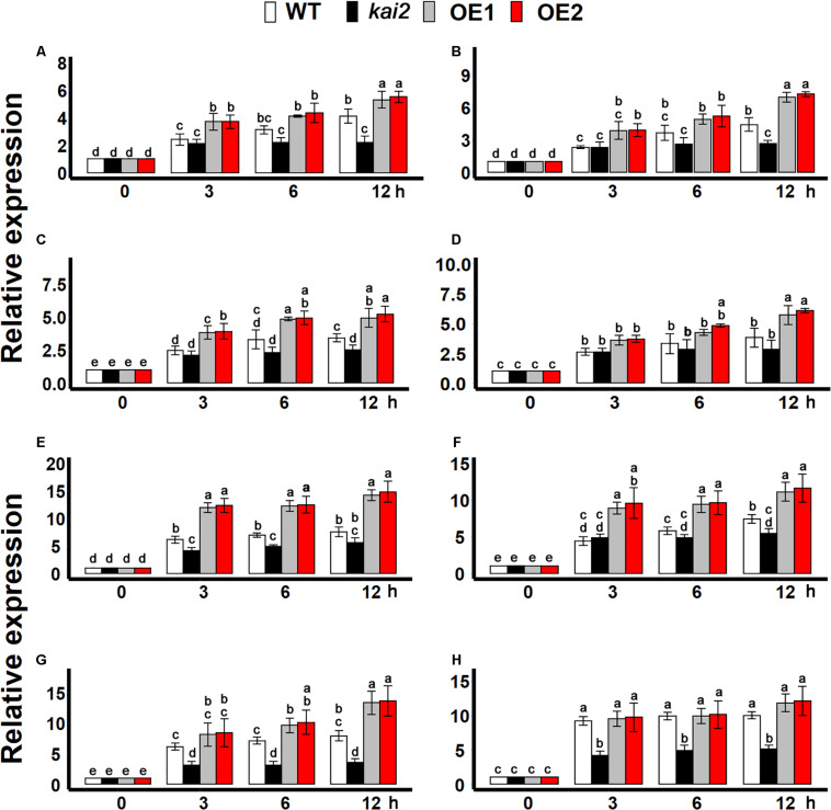 FIGURE 6