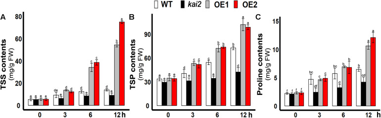 FIGURE 3