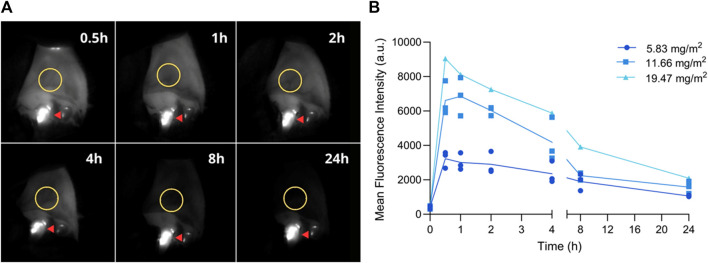 FIGURE 4