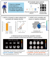 Graphical Abstract