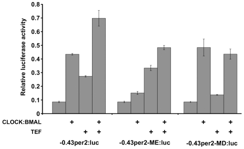 Figure 12