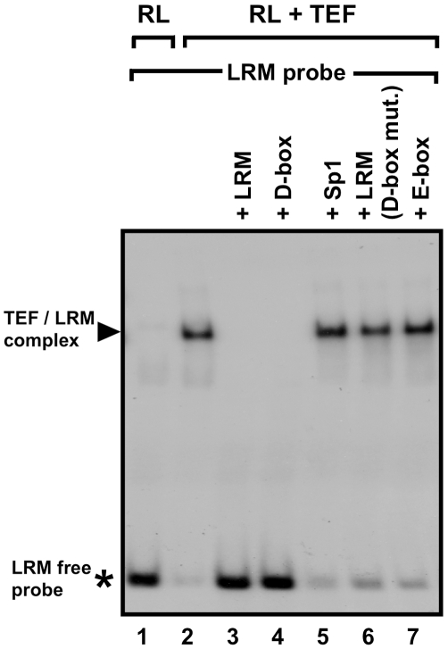 Figure 14