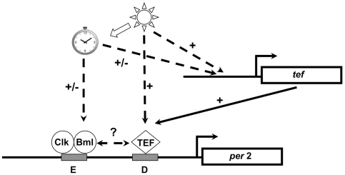 Figure 16