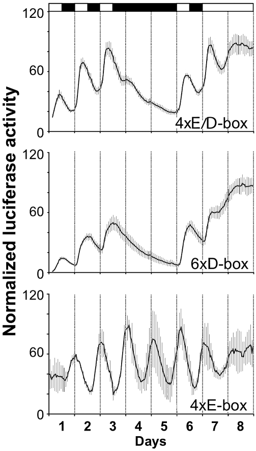 Figure 11